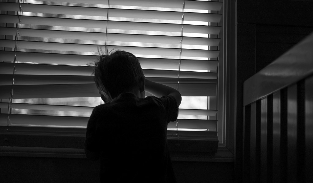 Complementos para vestir las ventanas