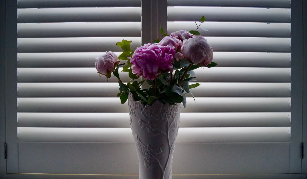 Complementos para vestir las ventanas