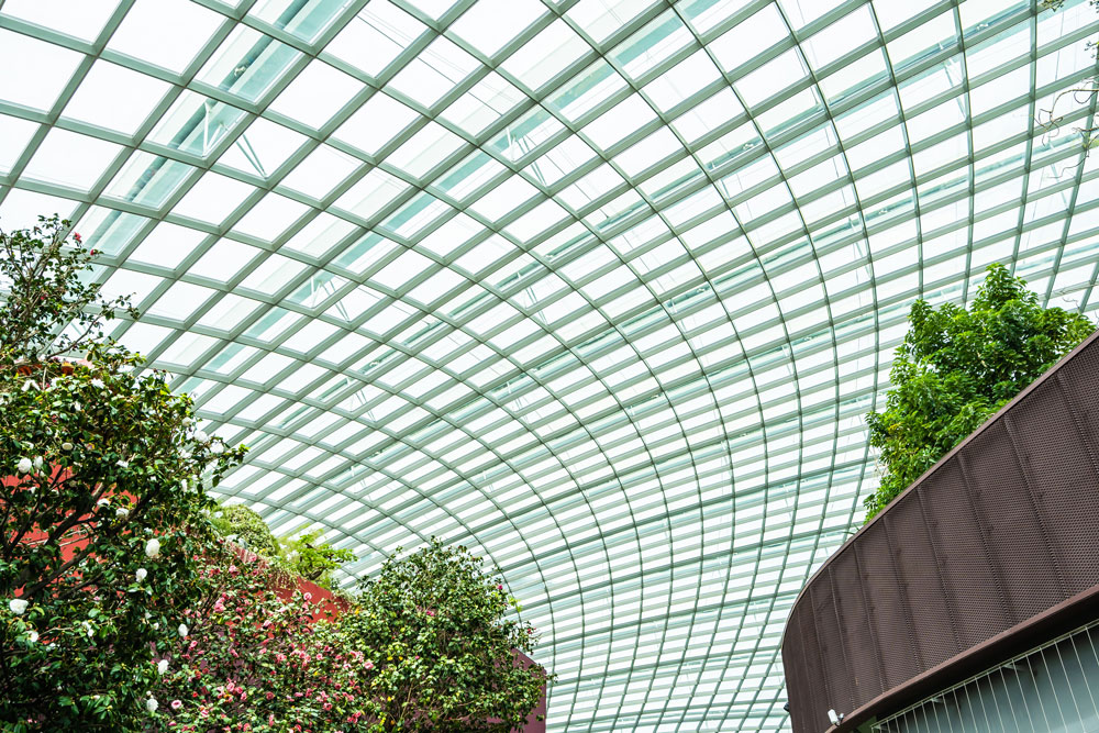 Techo curvo de vidrio enrejado sobre un jardín interior con árboles y arbustos, simbolizando arquitectura sostenible y aprovechamiento de la luz natural.